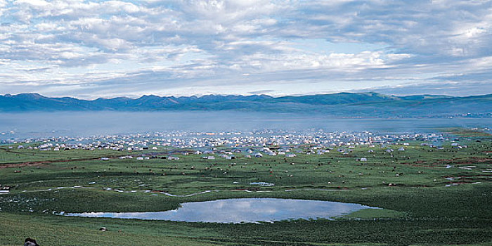 rong bach kim 88 99