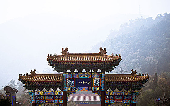 soi số miền bắc
