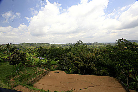 soi cầu lô hôm nay