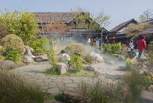 soi cau bach thu tp