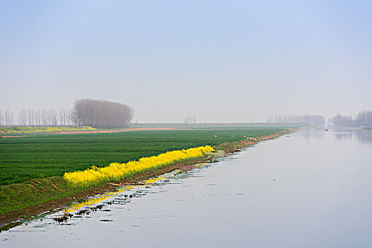 bach thu de ngay mai