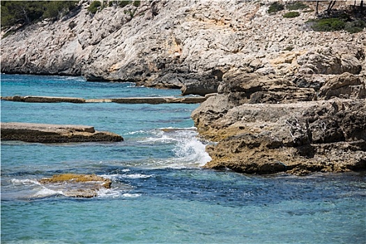 soi cau thuan vu