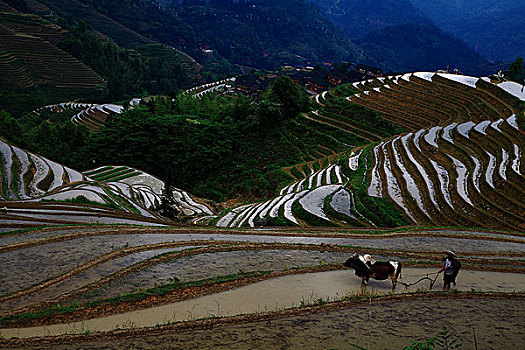 xsmb thu 4 hang tuan