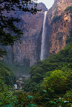 lô gan miền nam