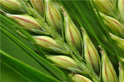 xổ số an giang ba đài