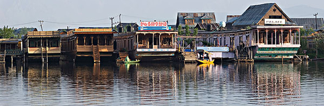 rong bach kim 247