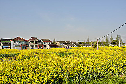 soi cau bach kim mb