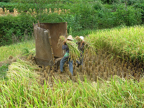 quay thử xổ số đồng nai