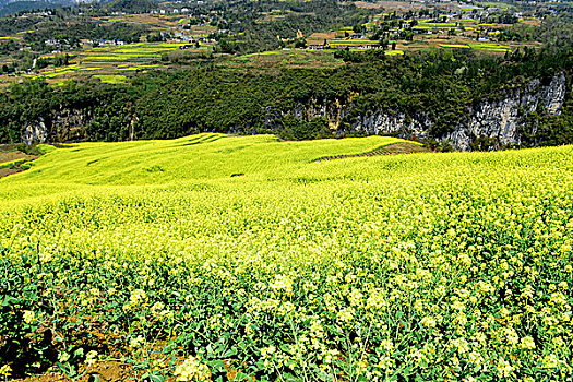 xo so miễn nam