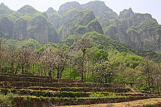 đề bạch thủ hôm nay