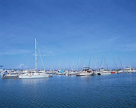 quay thu xo so daklak