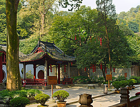 xstd 30 ngày