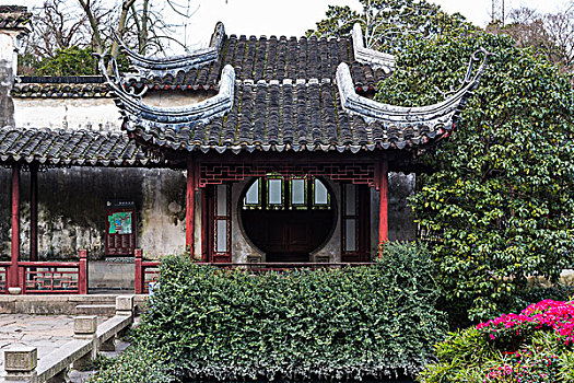 soi câu bạch kim