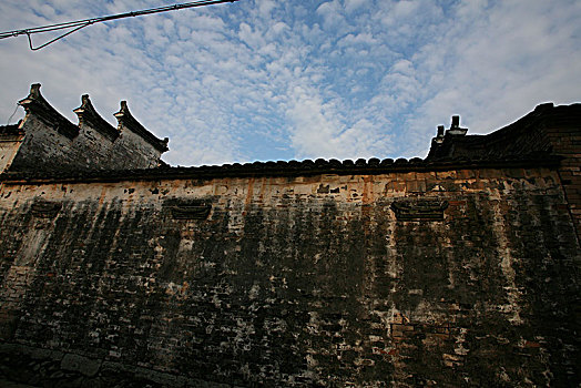 soi cau lo bach thu 8785