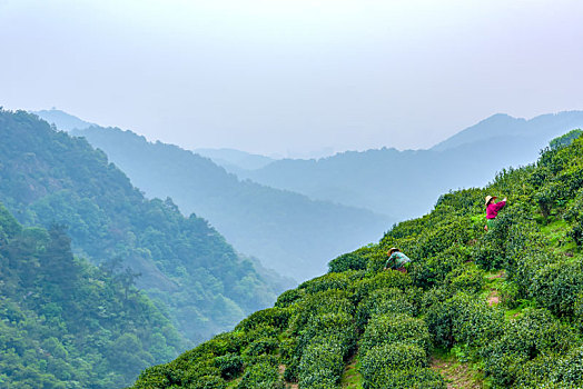 xs bình thuận