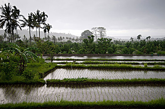 bí quyết lô đề