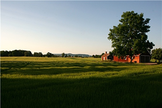 du doan mb