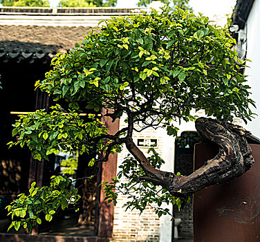 thống kê xổ số khánh hòa